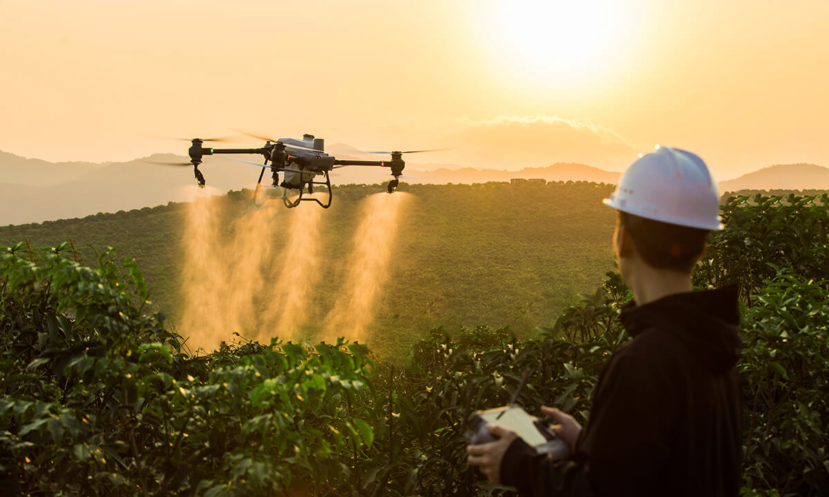 Drone spraying crops at sunset - New Horizon Precision agricultural drone services